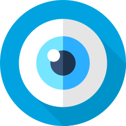 eidv-personator-identity