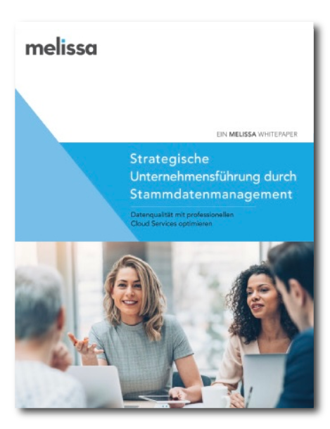 stammdatenmanagement-whitepaper-thumbnail